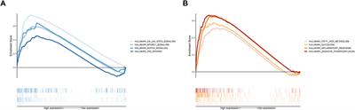 Integrated single-cell and transcriptome sequencing analyses develops a metastasis-based risk score system for prognosis and immunotherapy response in uveal melanoma